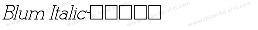 Blum Italic字体转换